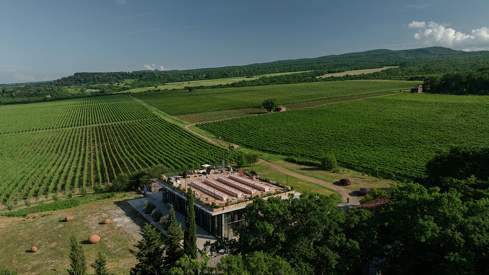 Aerial view of the outdoor ceremony clearing surrounded by Tsinandali's 19th-century park and vineyards